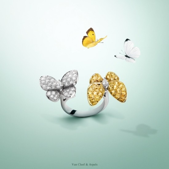 Two Butterfly Between the Finger Ring Fingers