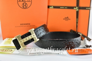 Hermes Reversible Belt Black/Black Ostrich Stripe Leather With 18K Gold Stripe Logo H Buckle