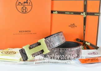 Hermes Reversible Belt Brown/Black Snake Stripe Leather With 18K Gold H Buckle